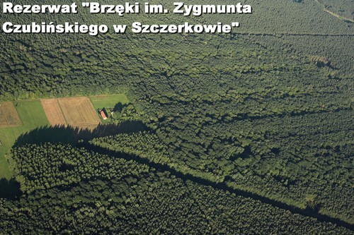 Rezerwat Brzki im. Zygmunta Czubiskiego w Szczerkowie