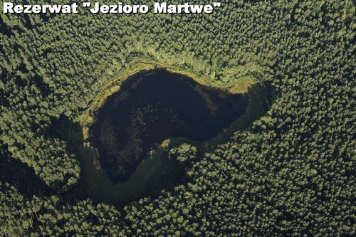 Rezerwat Jezioro Martwe