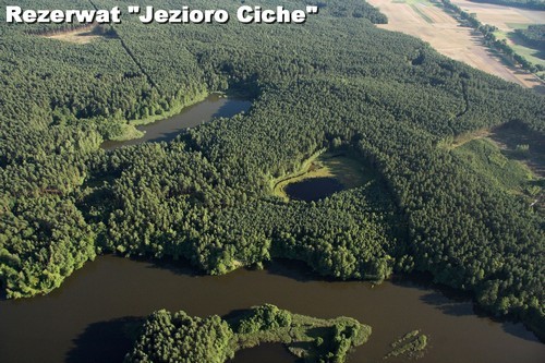 Rezerwat Jezioro Ciche